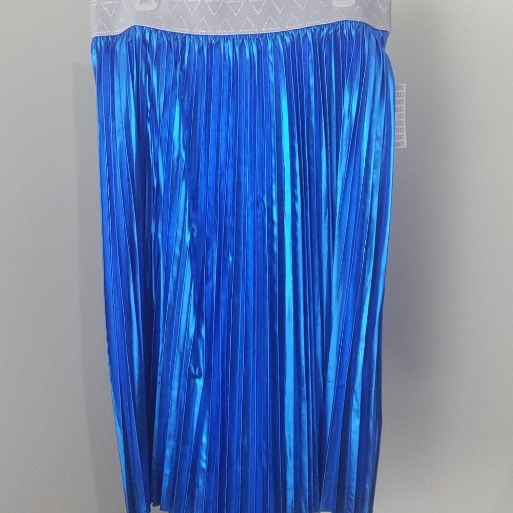 Blue pleated skirt
